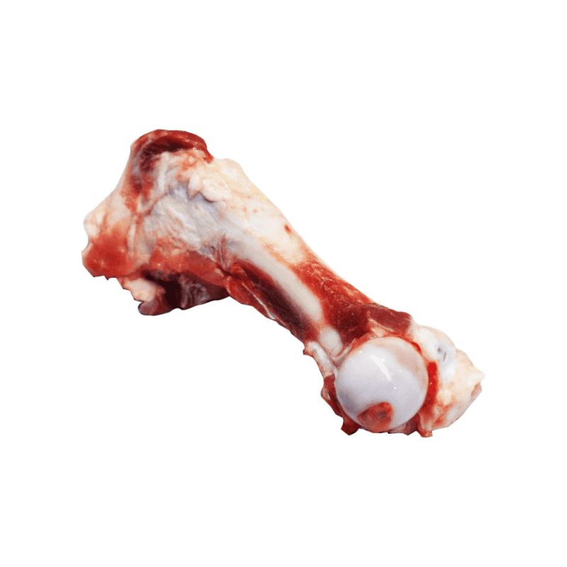 Fémur de cerdo masticable