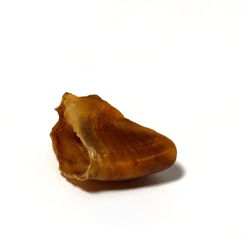 Pezuña de res deshidratada 1pz