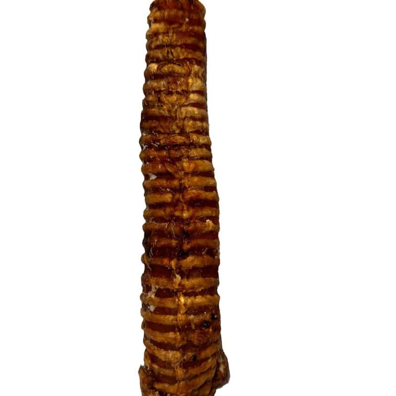 Tráquea de res deshidratada 1pz